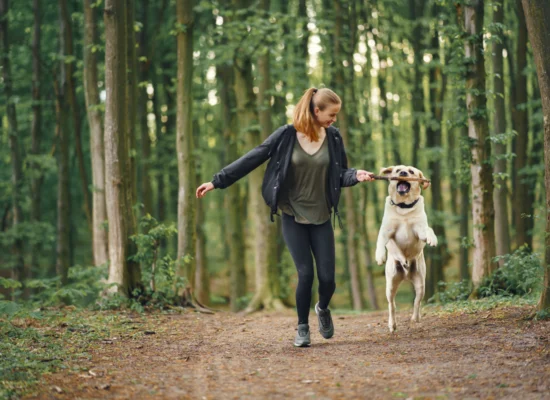 quel tour apprendre à son chien